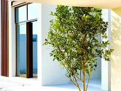 Corner Park Villa | Landscaped Garden | Sunset