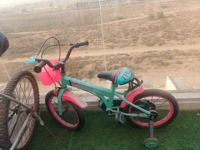 Cycle