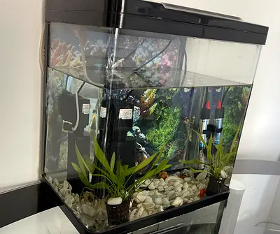 Complete 30L Aquarium Tank with Filter, Heater and Decorations