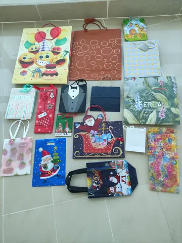 Assorted Paper Gift Bags - Pack of Decorative Shopping Bags