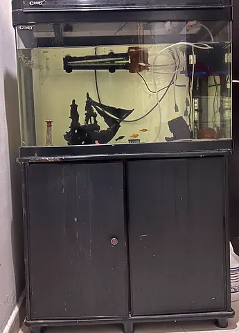 Fish tank