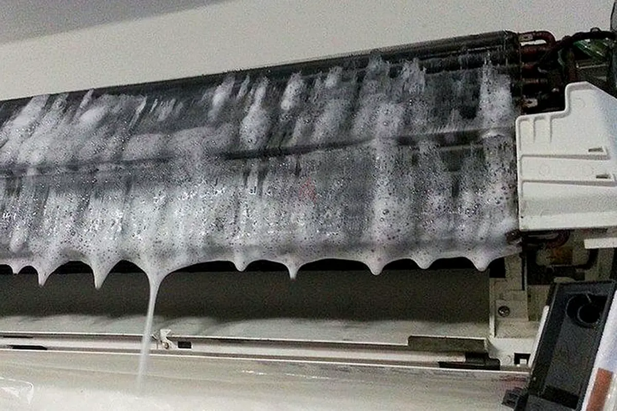 DPV_View_Image_2