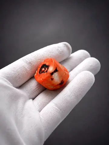 حجر مرجان تونسي طبيعي - Natural Tunisian coral stone