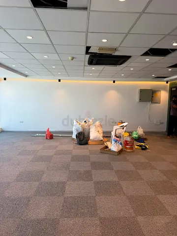 دهان الفلل والشقق