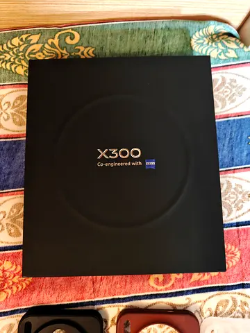 Vivo X300