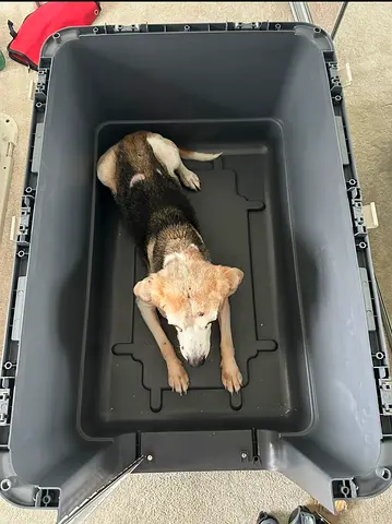 IATA certified crate