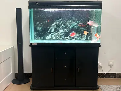 Large 1 meter Aquarium with Stand and Hood - Ready to Move