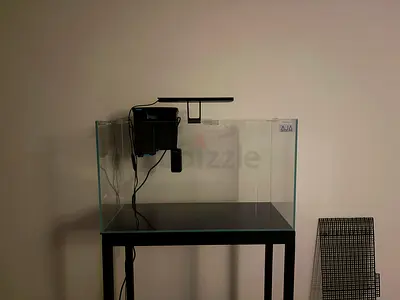 Rimless Branded Aquarium with a Stand