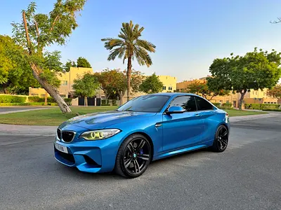 2017 BMW M2 — фото 7