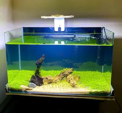 50 cm Complete Aquarium Setup – Fully Aquascaped Size 50x30x27cm