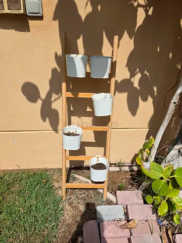 Plant holder with pots