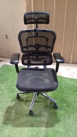 Ergohuman mesh office chair