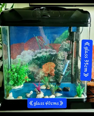Small Fish Aquarium Tank with Lid, Filter and Decorations