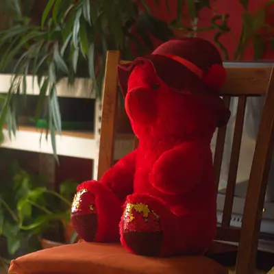 Red Teddy Bear