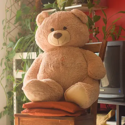 Giant Teddy Bear