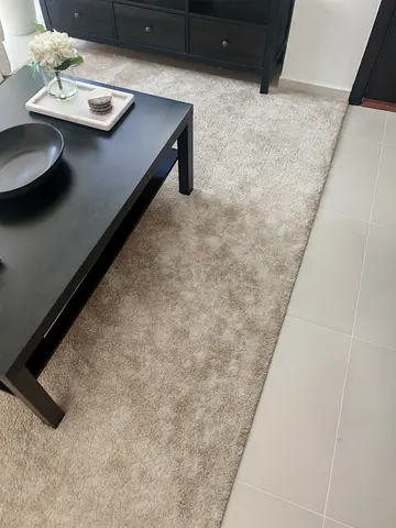 Modern Soft Beige Shaggy Area Rug
