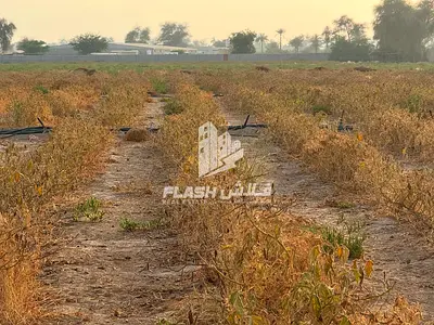 Farm for Sale in Rak / Al Hamraniya