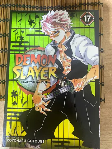 Demon slayer manga vol 17 English