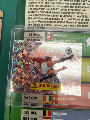 Panini World Cup Holographic Football Trading Card (single)