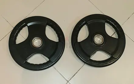 15kg weight plates pair