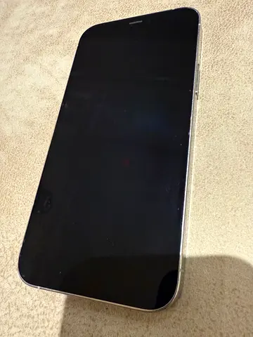 iPhone 12 Pro Silver (256GB)