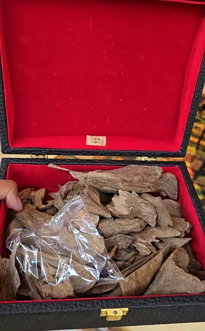 Iriani jayapura oudh (Indonesian)