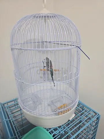 White birdcage for sale (bird not included)