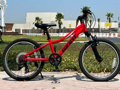 Giant xtc/20