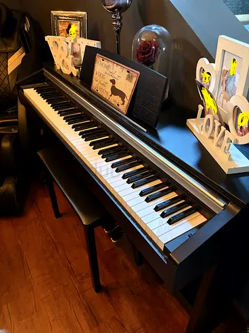 The Casio Celviano AP-220 digital piano with stand and bench - like new barely used, condition
