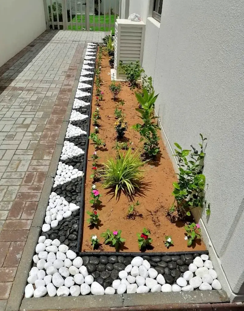 DPV_View_Image_2