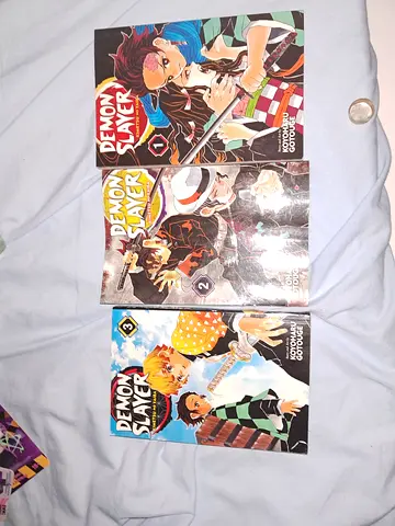 Demon slayer books 1 2 and 3