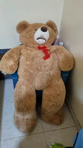 TEDDY BEAR