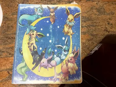 Pokemon Cards + Case
