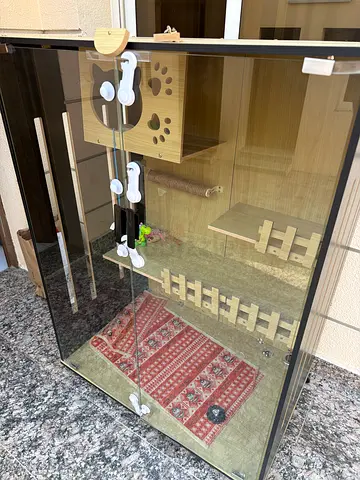 Cat Premium villa