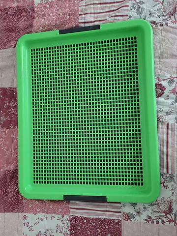 Dog Pad