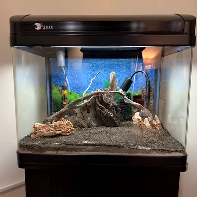 Glass Aquarium Tank