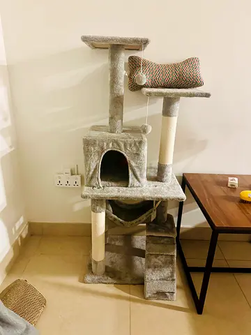 Used Multi-level Cat Tree with Condo, Scratching Posts and Hammock