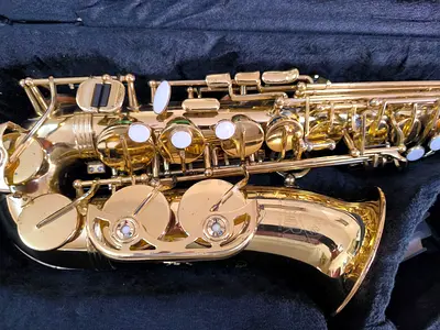 Trevor James Alto Saxophone – AED 2,800