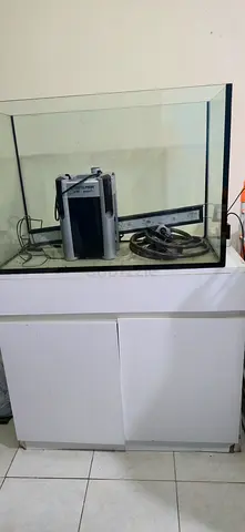 Glass Aquarium Tank with Cabinet and Filter System - Ready Setup