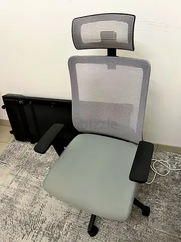 Ergonomic Mesh Office Chair with Headrest and Adjustable Armrests