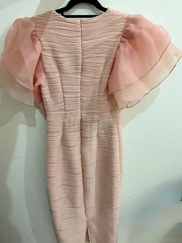 Light Pink Party Textured Dress with Sheer Puff Sleeves - Size Medium worn few times