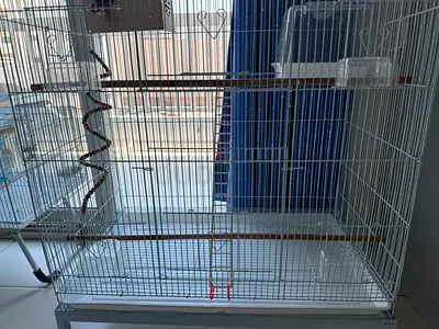Bird Cage