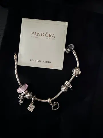 Pandora Charm Bracelet with Multiple Charms and Polishing Cloth