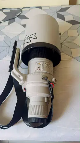 Canon EF 600mm f4 L IS