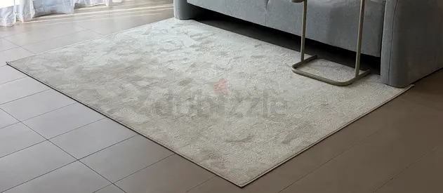 Light grey/beig  modern area rug