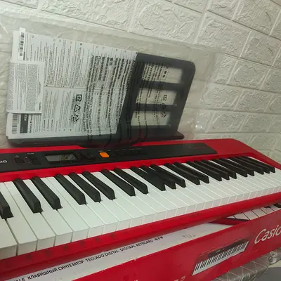 Casio Casiotone, 61-Key Portable Keyboard (CT-S200RD)