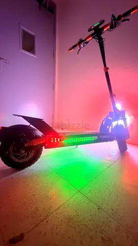 Electric Scooter for sale (Only 2 months Used)