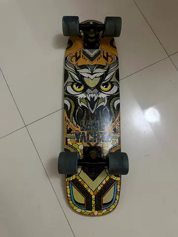 Landyachtz dinghy owl