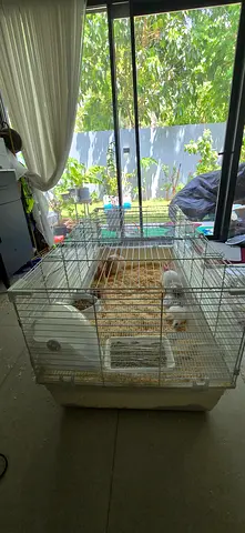 Rabbits cage