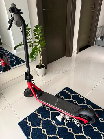 Ninebot Segway Electric Scooter